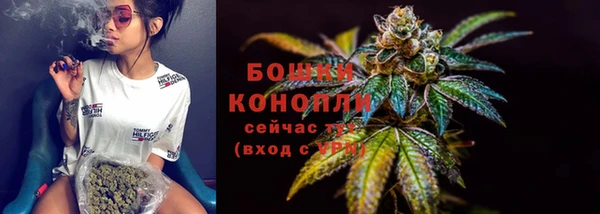 гидра Майский