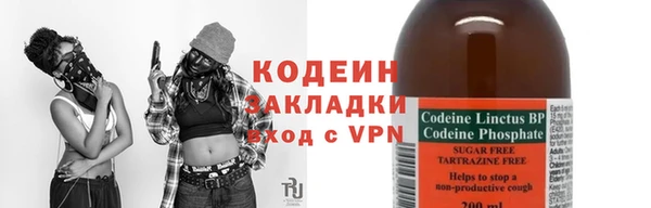 гидра Майский