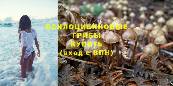 гашик Магадан