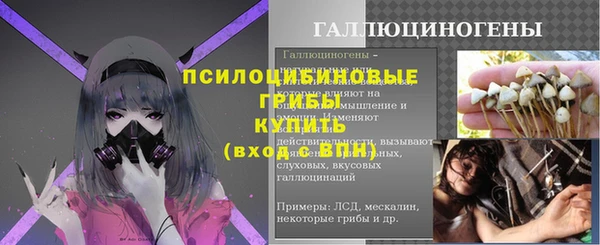 гашик Магадан