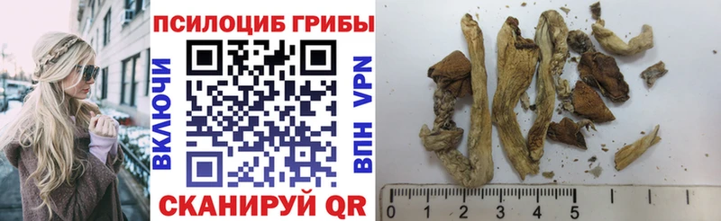 Псилоцибиновые грибы ЛСД  Купить  Конаково 